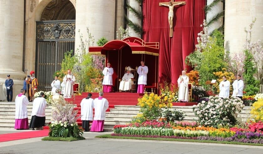Blumen für den Papst