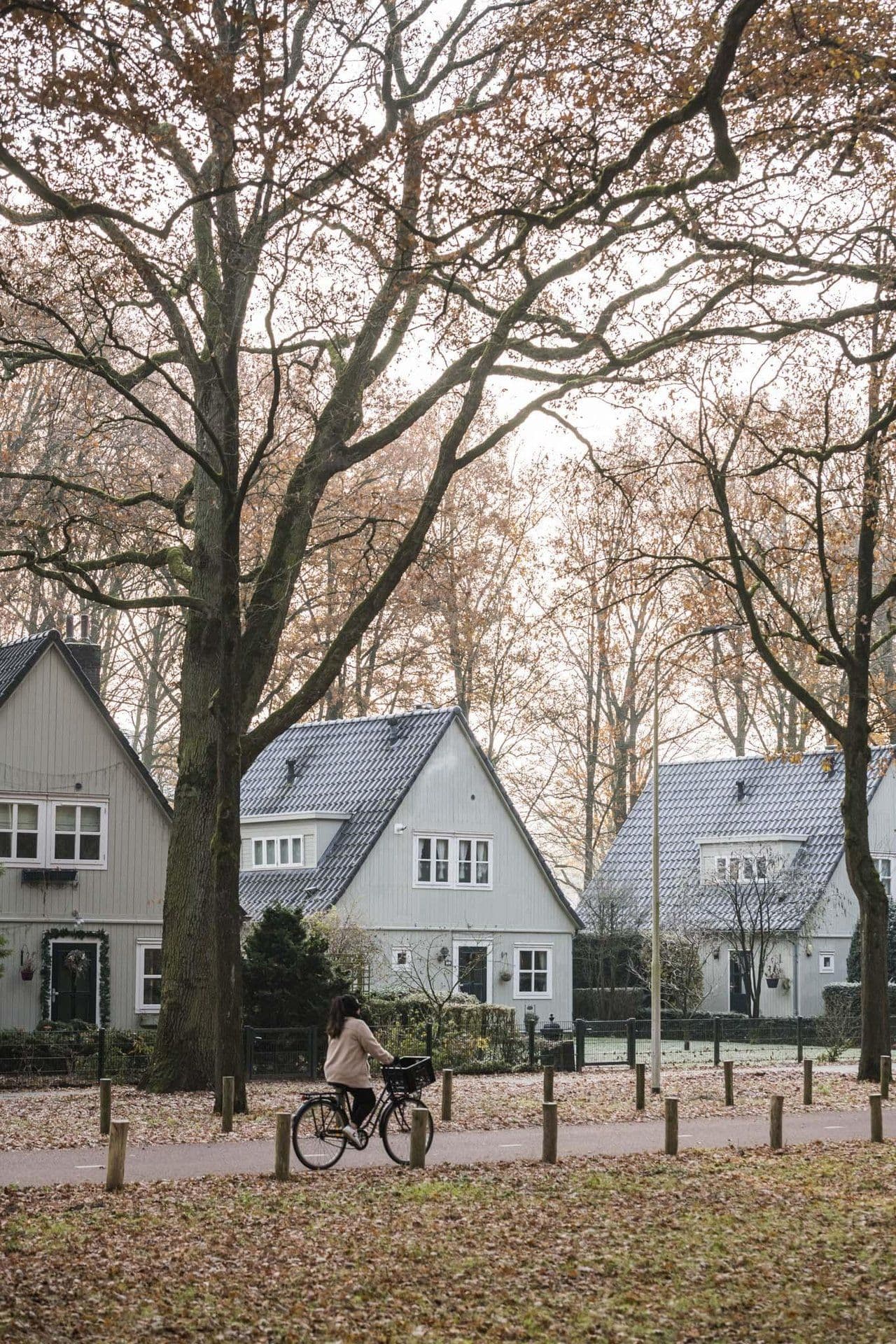 Max Kneefel Winter im Philips de Jonghpark