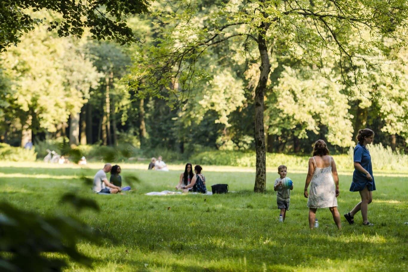 Max Kneefel 6x Orte in Eindhoven, an denen du draußen grillen darfst
