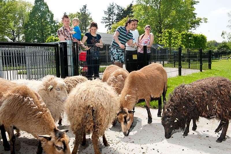 Default copyright Eigen Wijs Boerderij