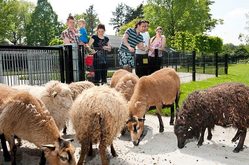 Default copyright Eigen Wijs Boerderij