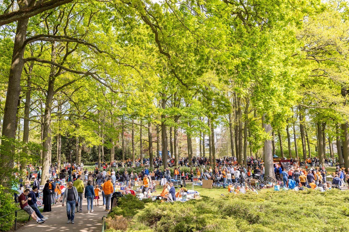Nadia ten Wolde Das Beste von Koningsdag