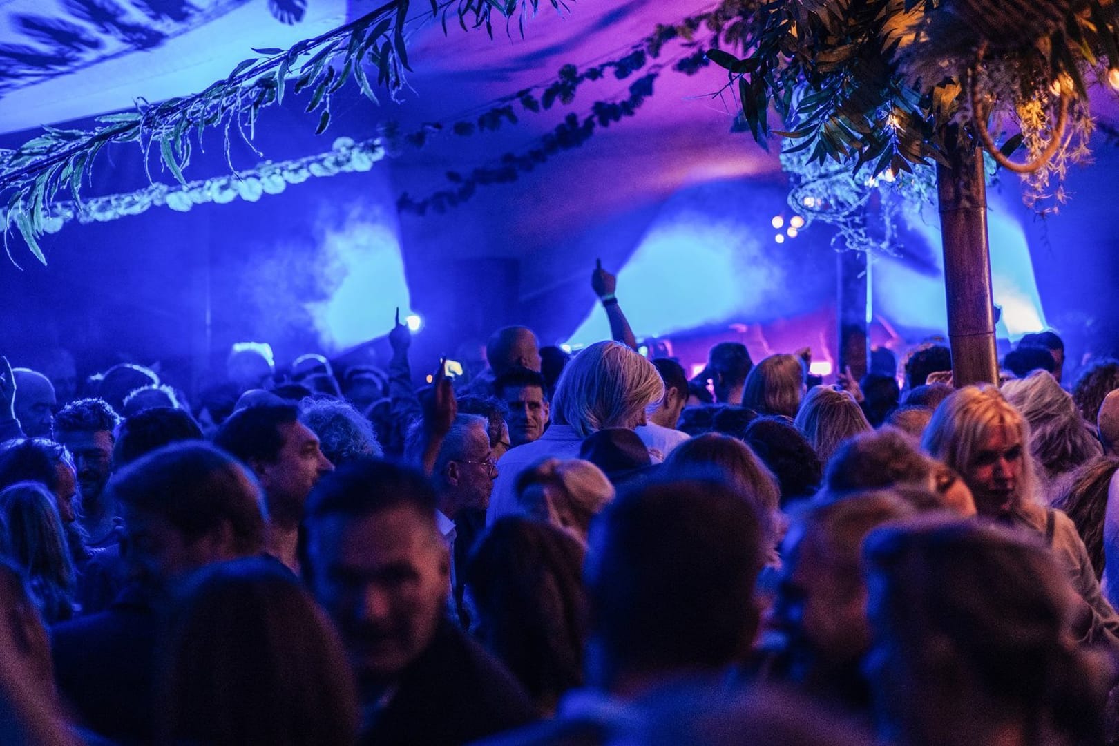 De Vaste Clique Funki in the park