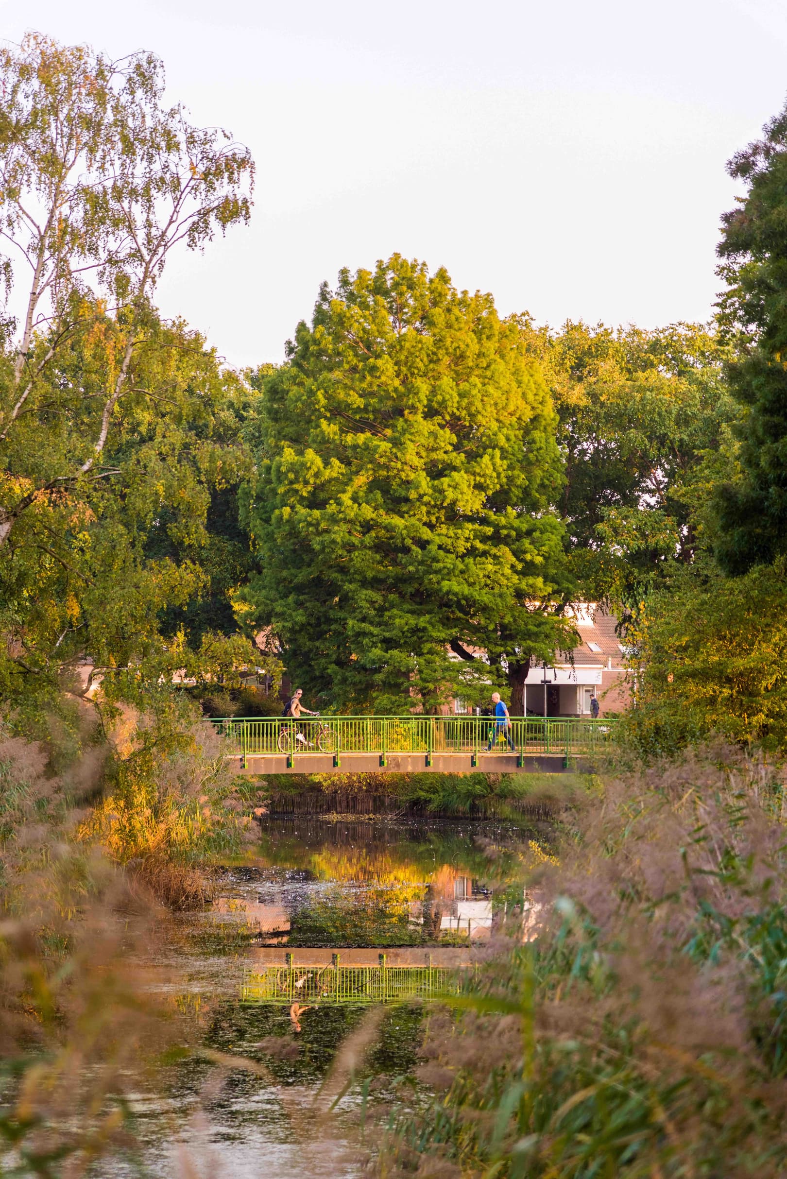 Twycer Stadswandelpark