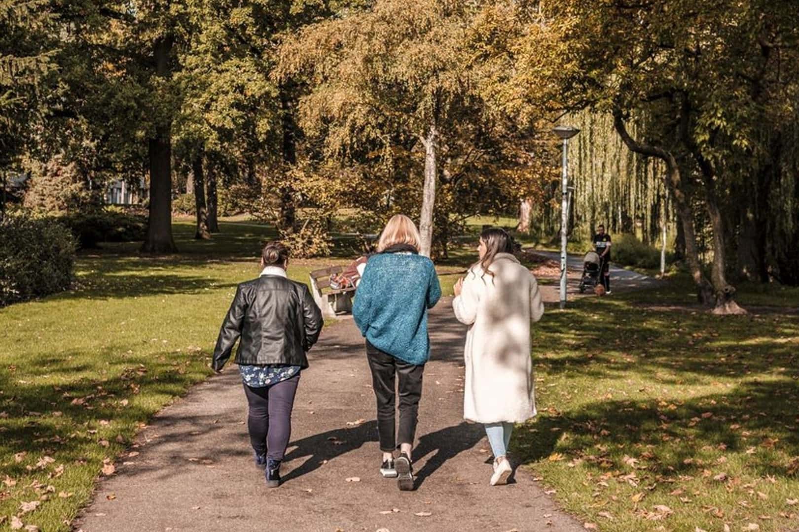 Ab ins Grüne: vier Wanderrouten