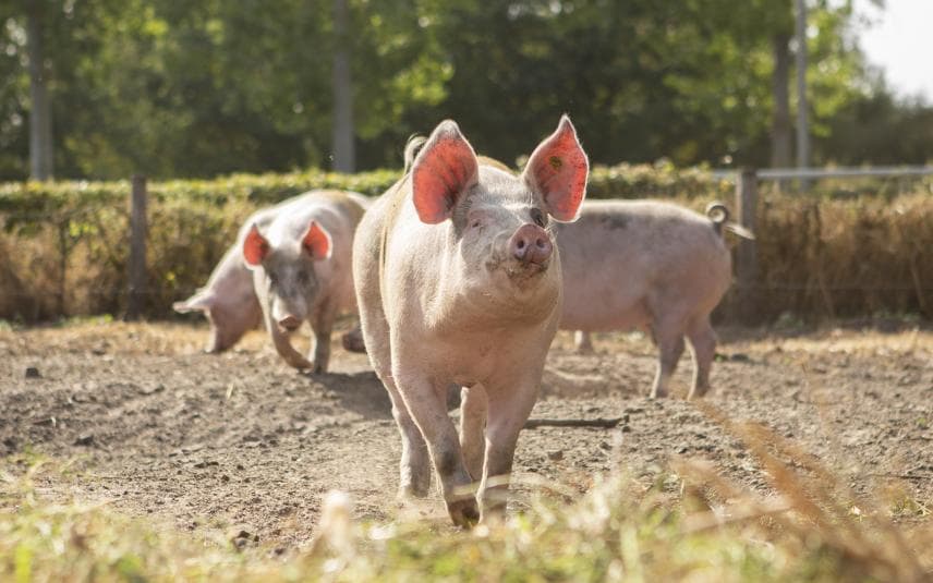 Genneper Hoeve
