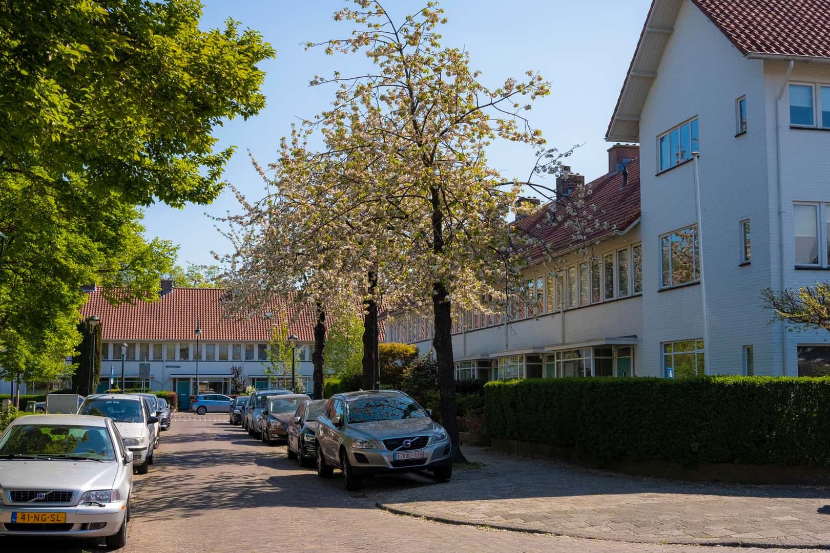 Witte Dorp
