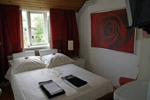 B&B De Ster