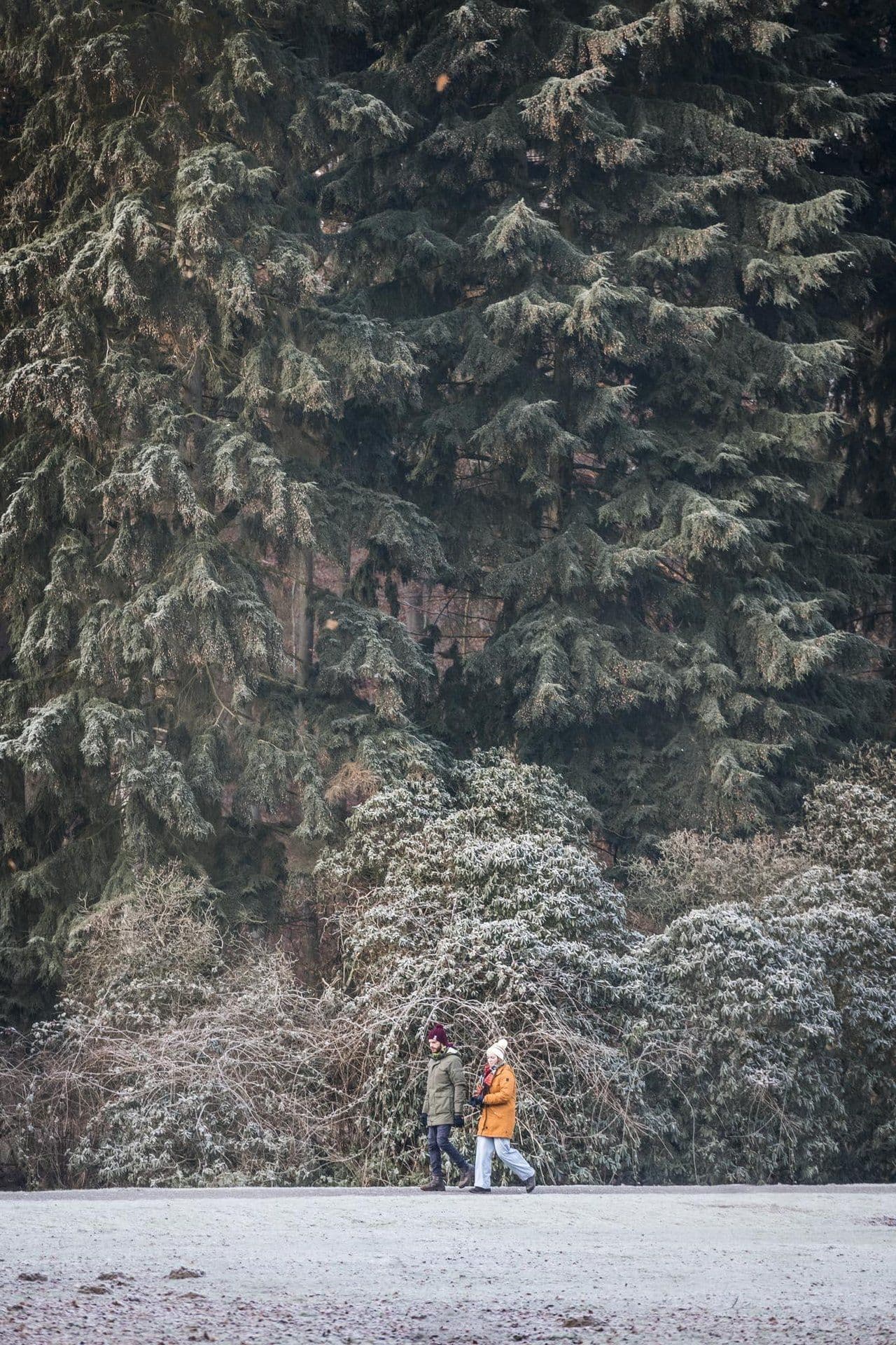 Max Kneefel Winter im Philips de Jonghpark