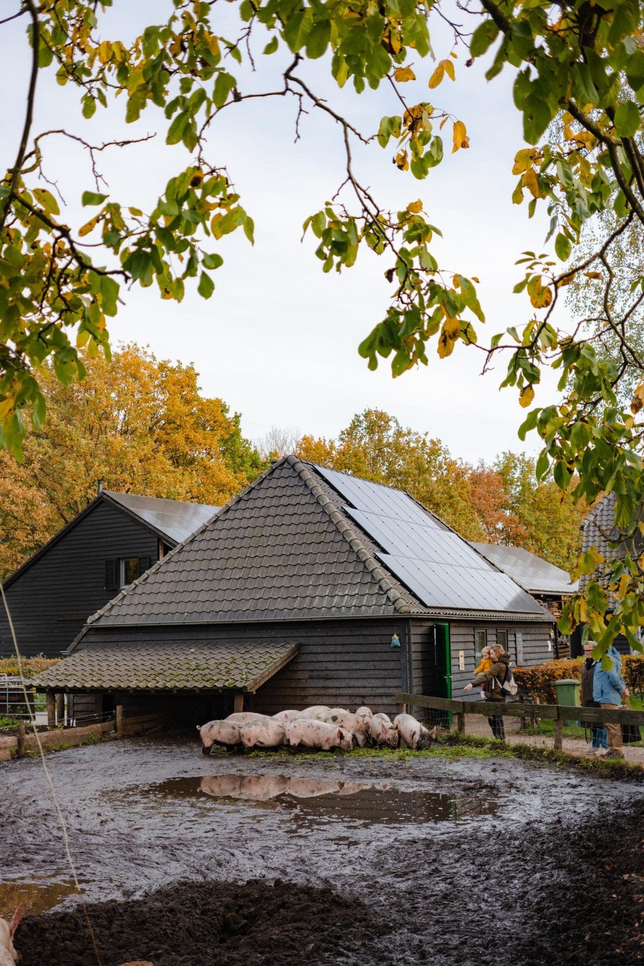 Max Kneefel Genneper Hoeve