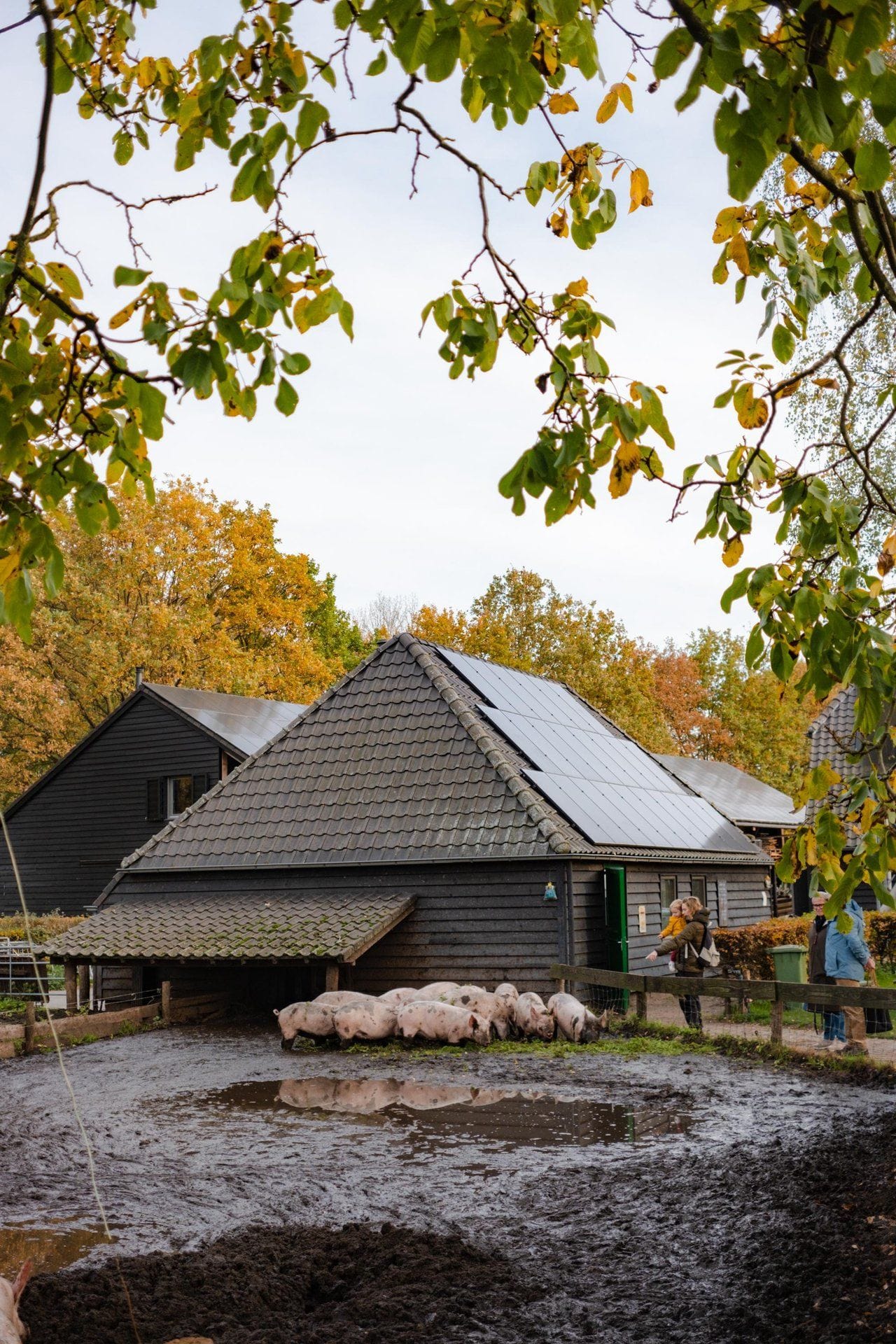 Max Kneefel Genneper Hoeve