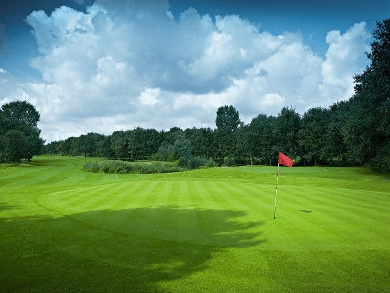 Default copyright Golf & Country Club de Tongelreep