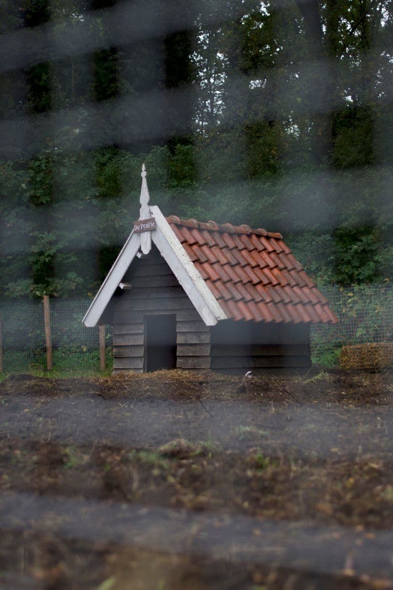 Phood Farm @ Niels Feijen