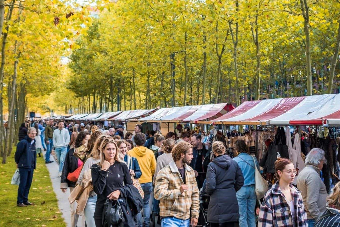 Max Kneefel FeelGood Market