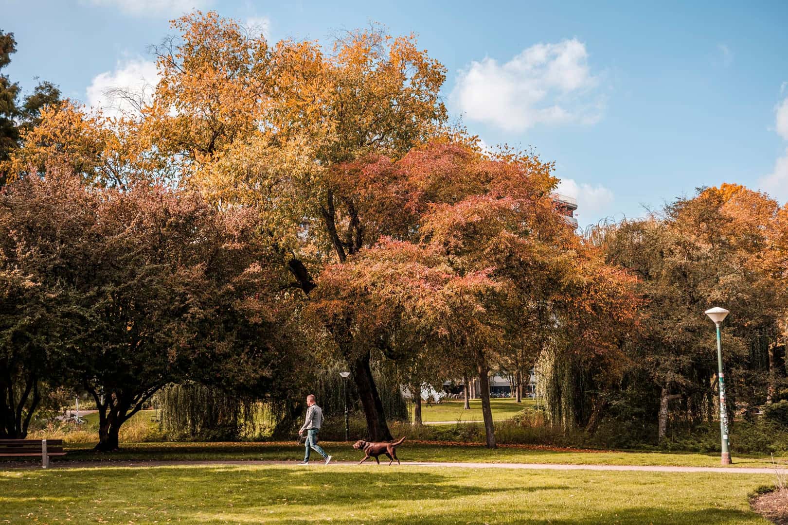 6x Parks für einen Herbstspaziergang