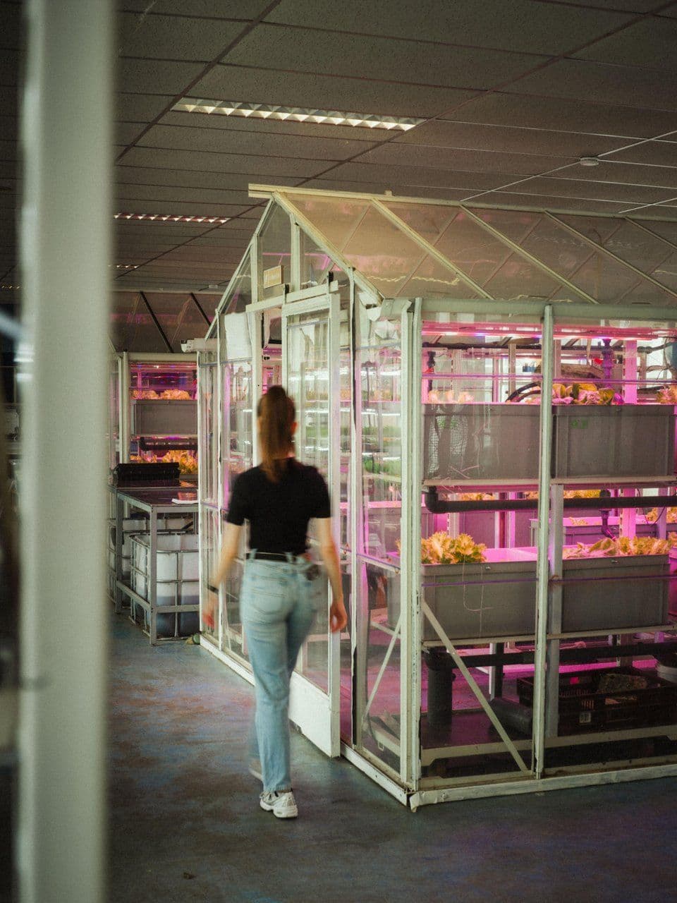 Wouter Kooken Phood Farm