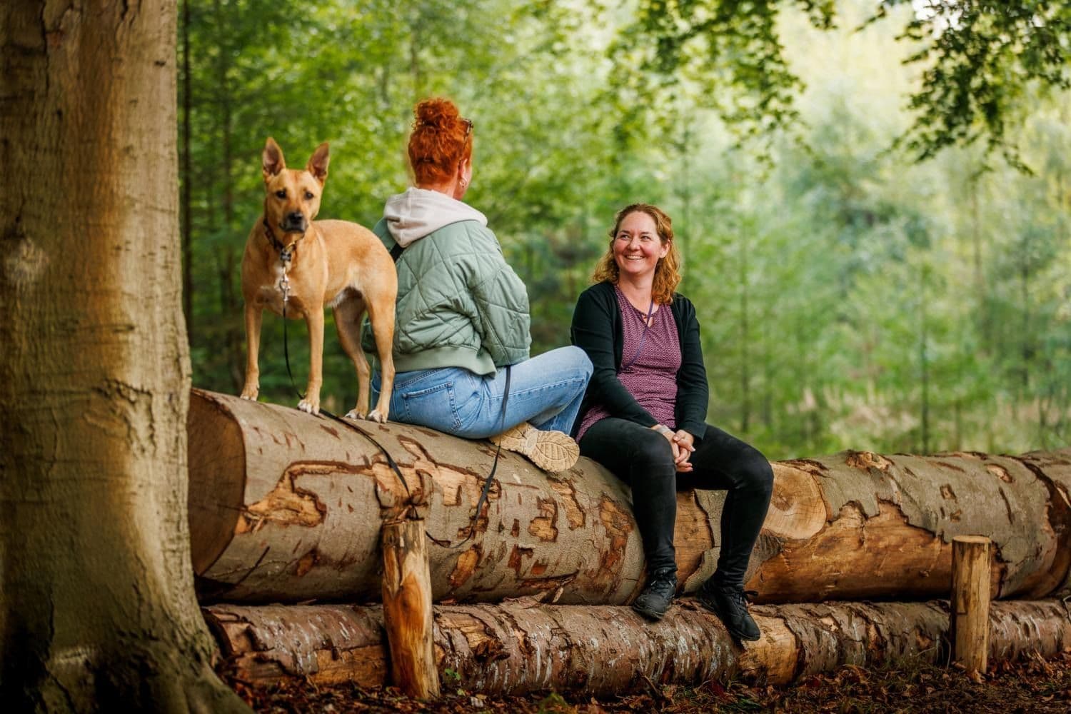 Landgoed de Wielewaal