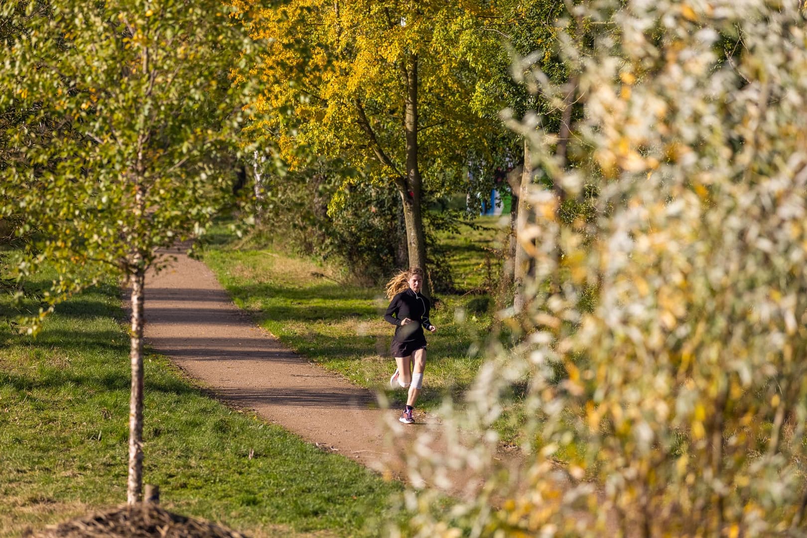 Stadswandelpark