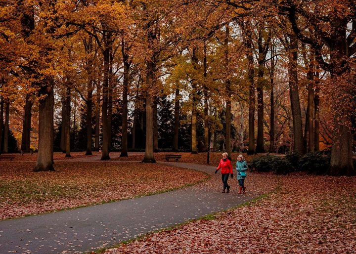 Autumn in Eindhoven