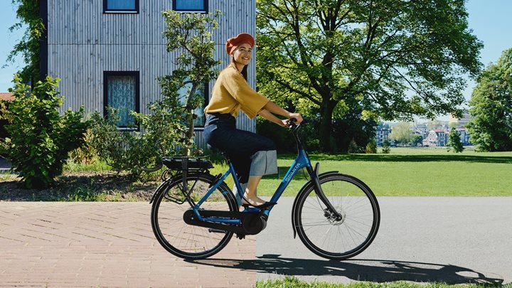 Fietsspecialist van de Wijgert