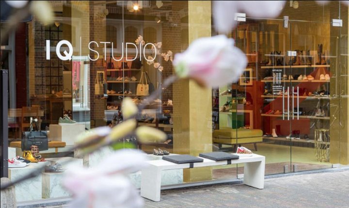 IQ Studio