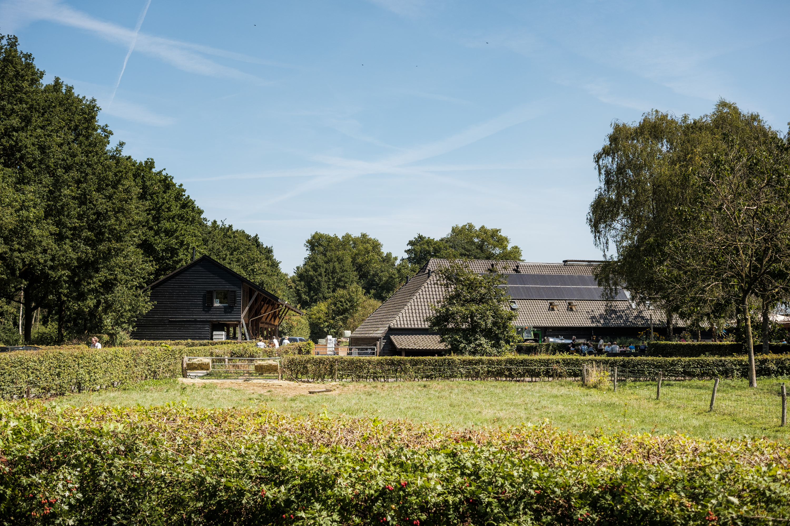 7x Groene hotspots